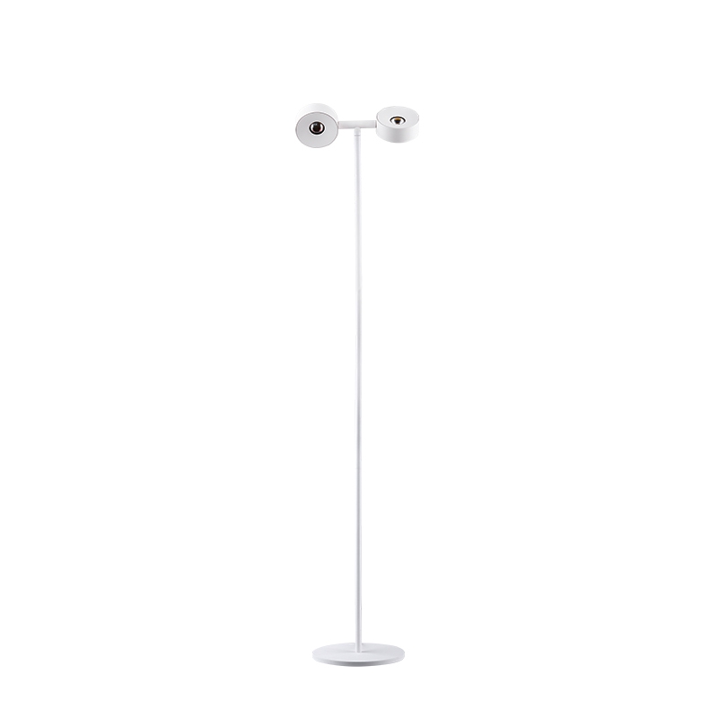 ALSL0066